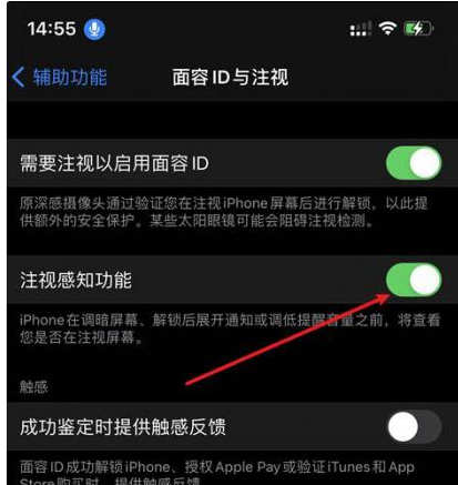阿城苹果14维修网点分享iPhone14注视感知功能有什么用 
